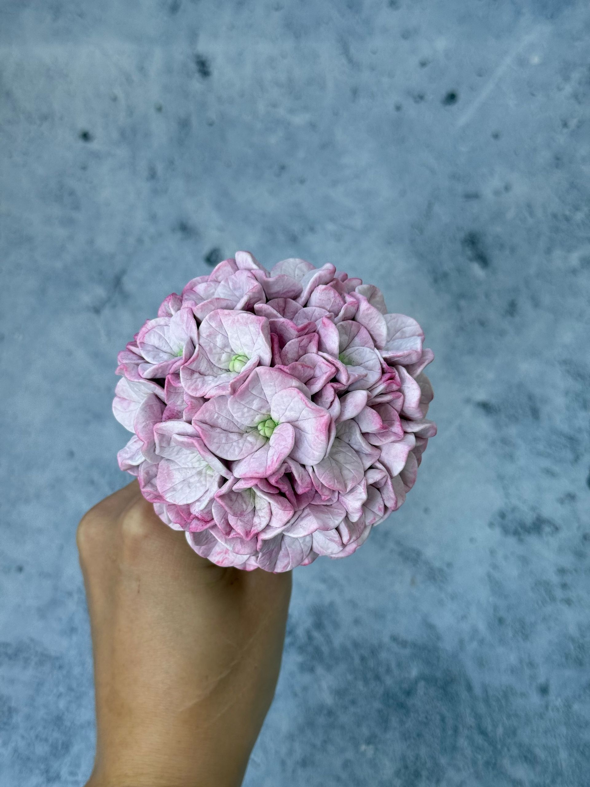 Фото 3